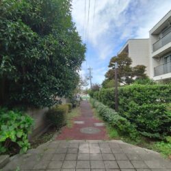北側前面公道（2025年10月2日撮影）