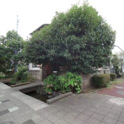 現地（2025年10月13日撮影）